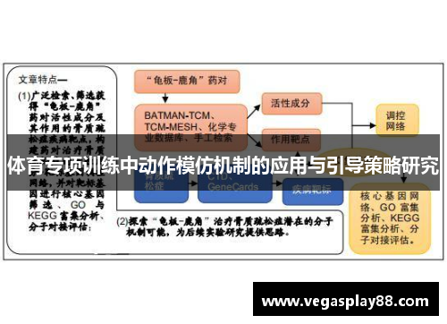 体育专项训练中动作模仿机制的应用与引导策略研究