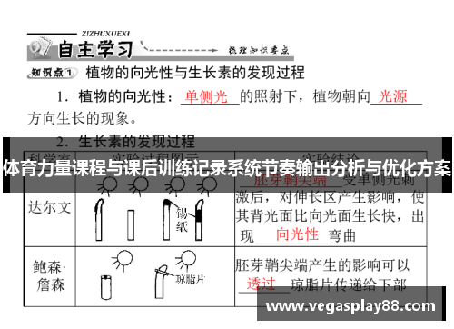 体育力量课程与课后训练记录系统节奏输出分析与优化方案